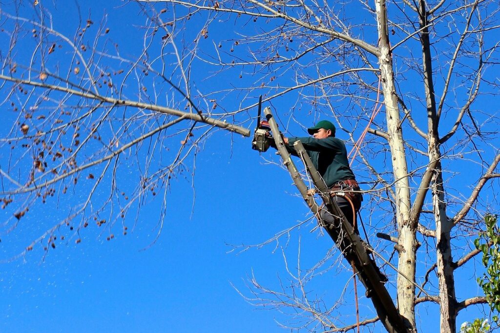 foto de un podador trabajando