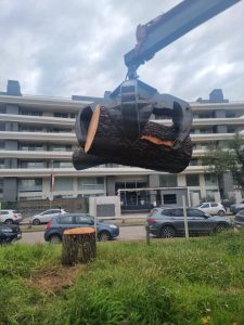 Minicargadora utilizando accesorio pala